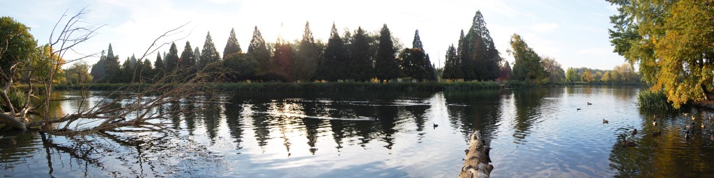 Crystal Spring Rhododendron Garden