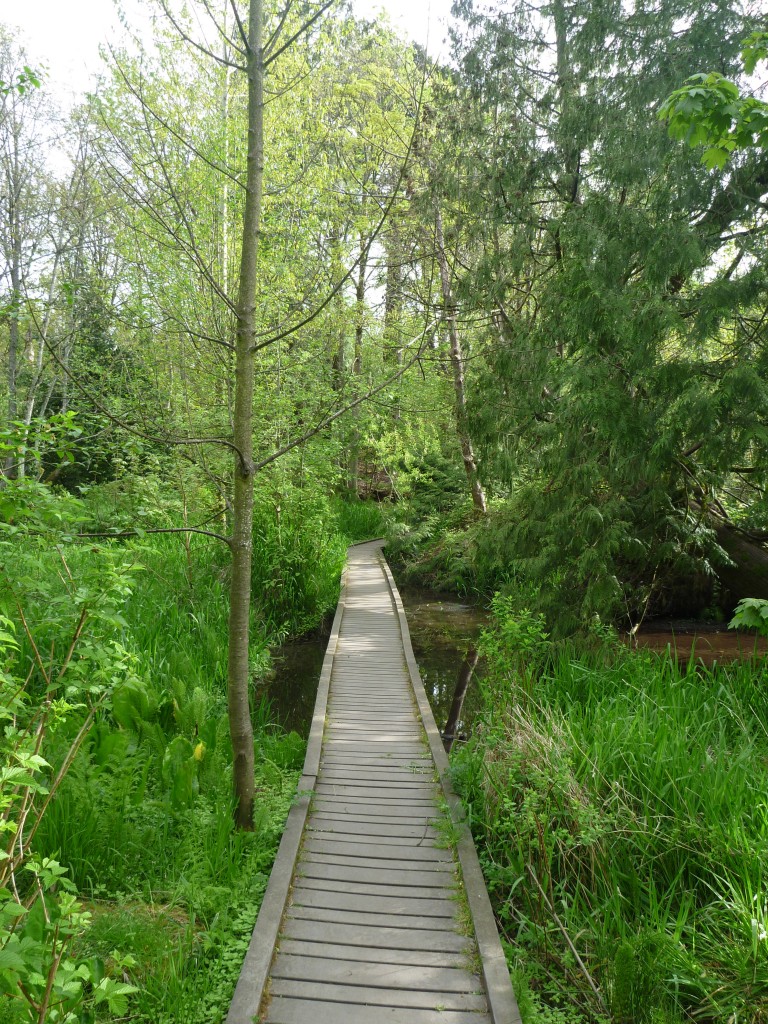 Reed College Lake Path