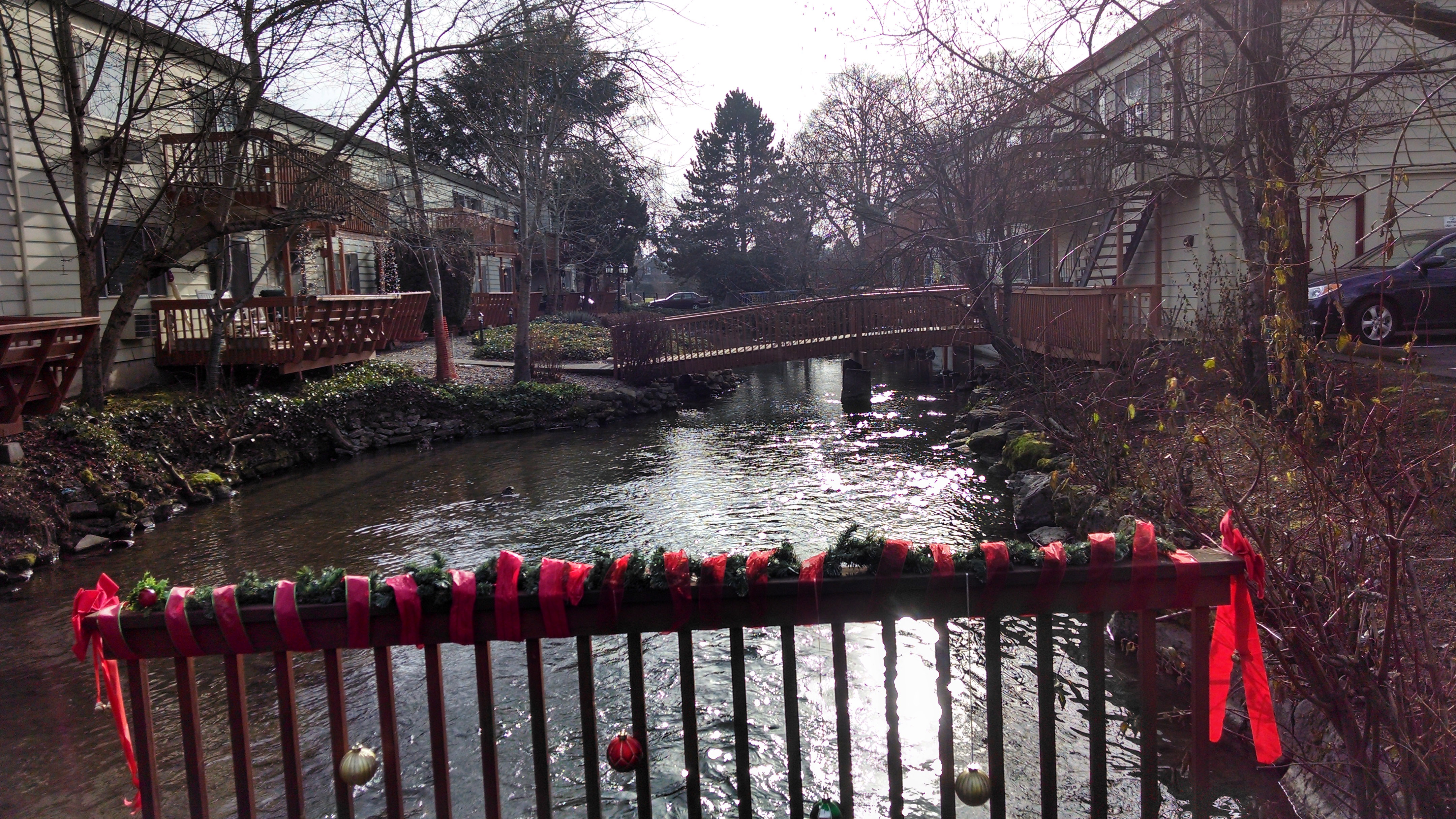 Crystal Springs Creek Apartments