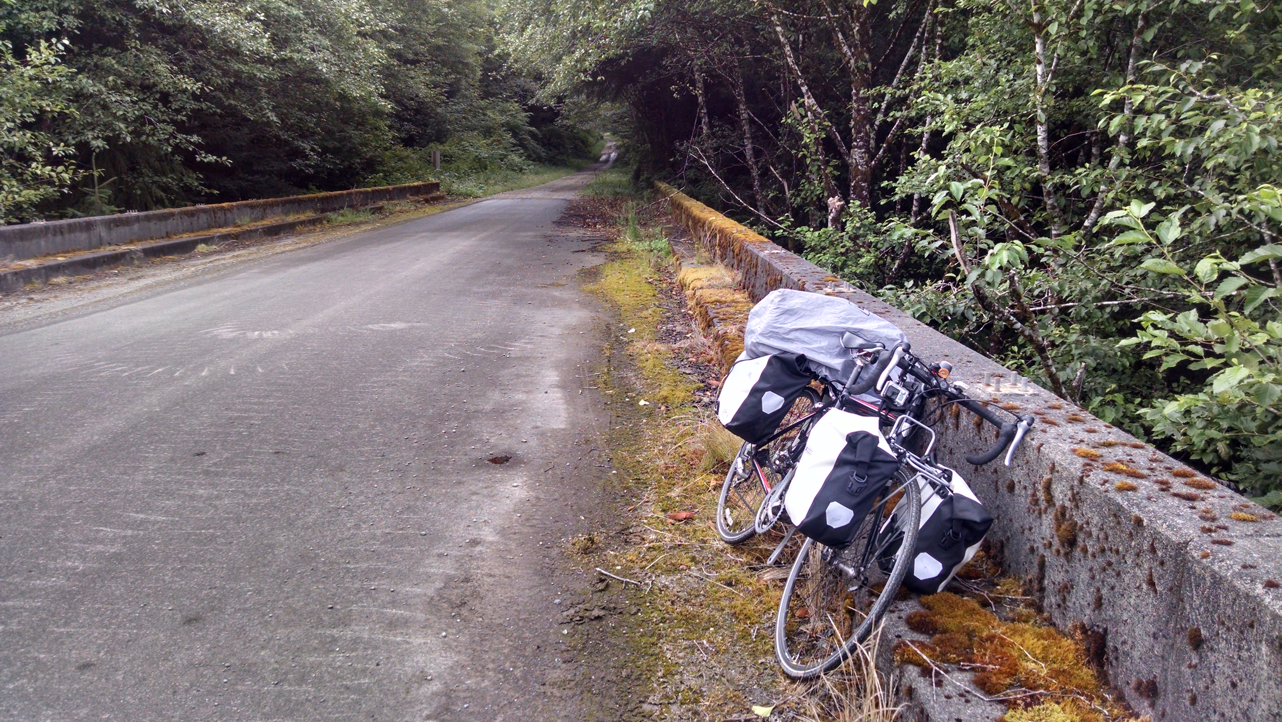 Quinalt Indian Reservation Bridge