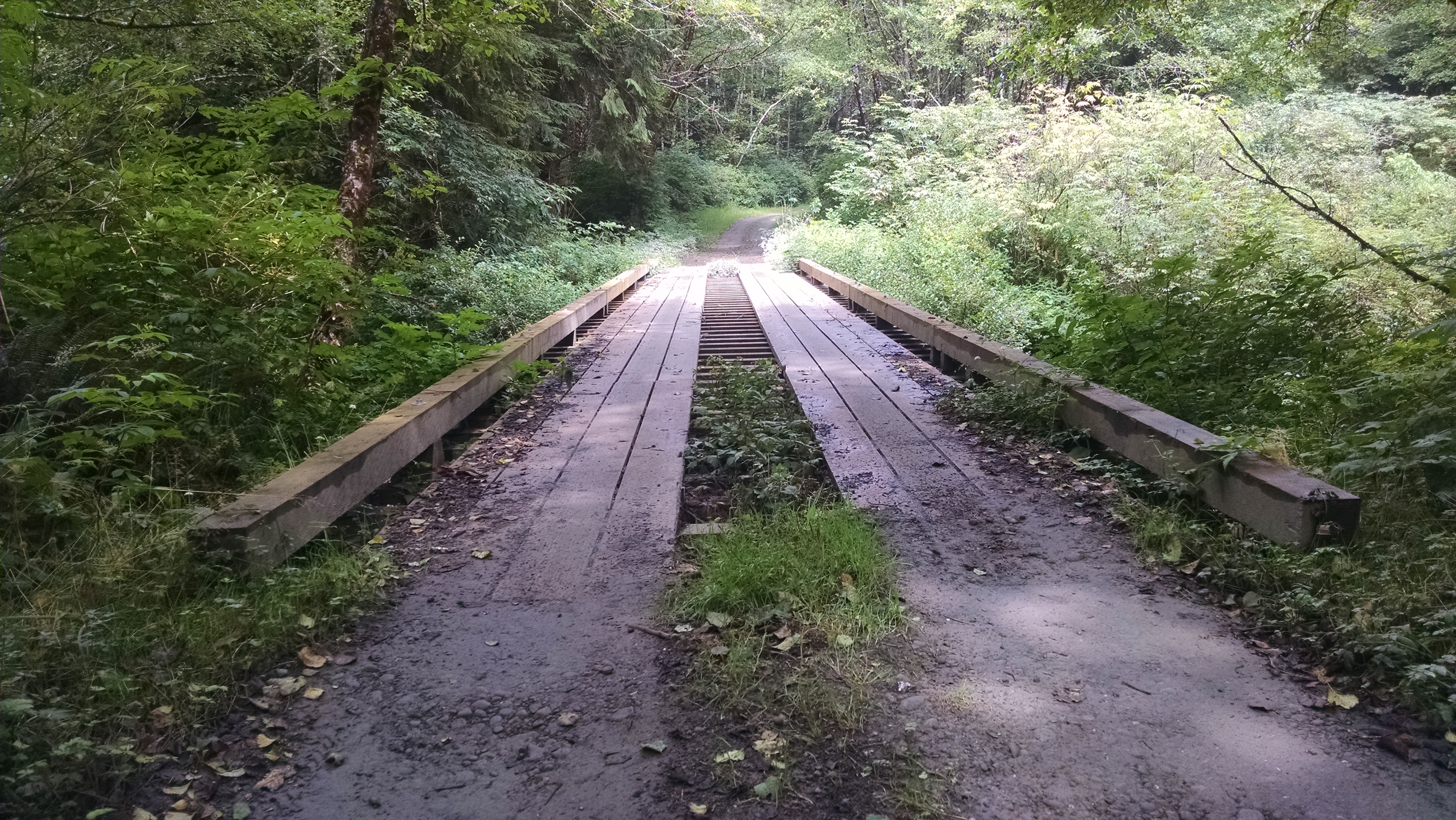 Quinalt Indian Reservation Bridge