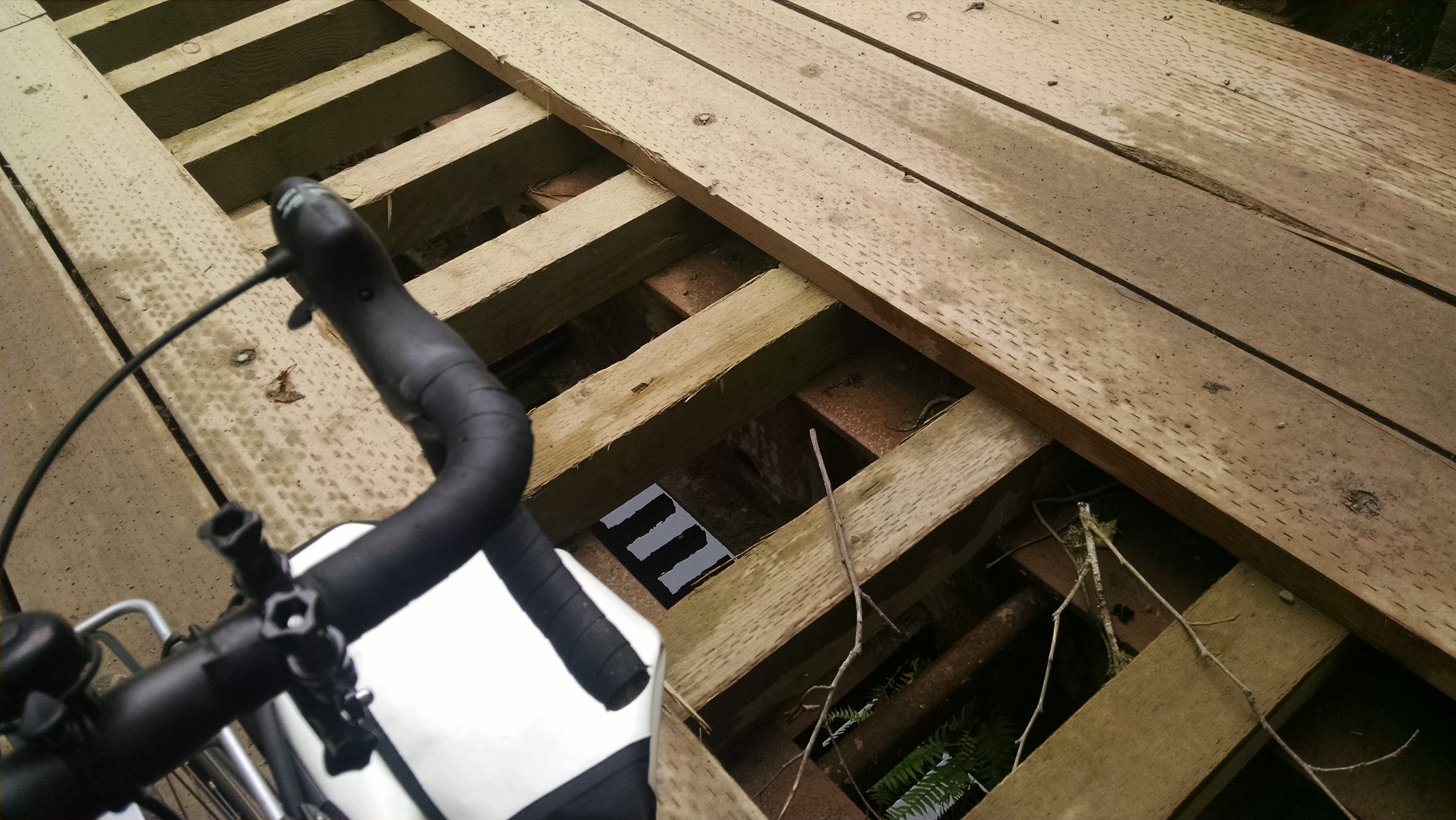 Quinalt Indian Reservation Bridge