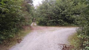 Turn East from the West Coast