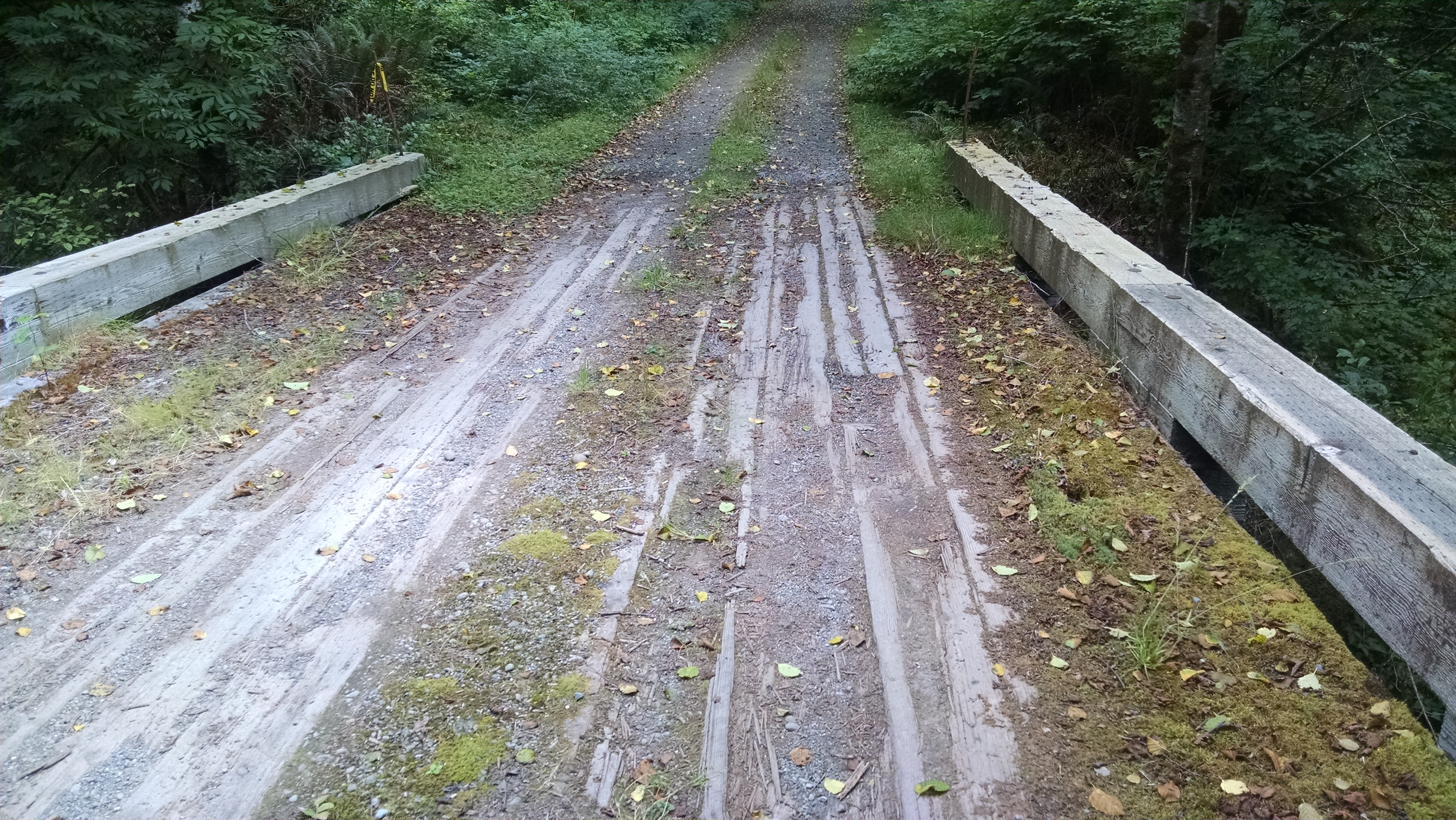 Quinalt Indian Reservation Bridge