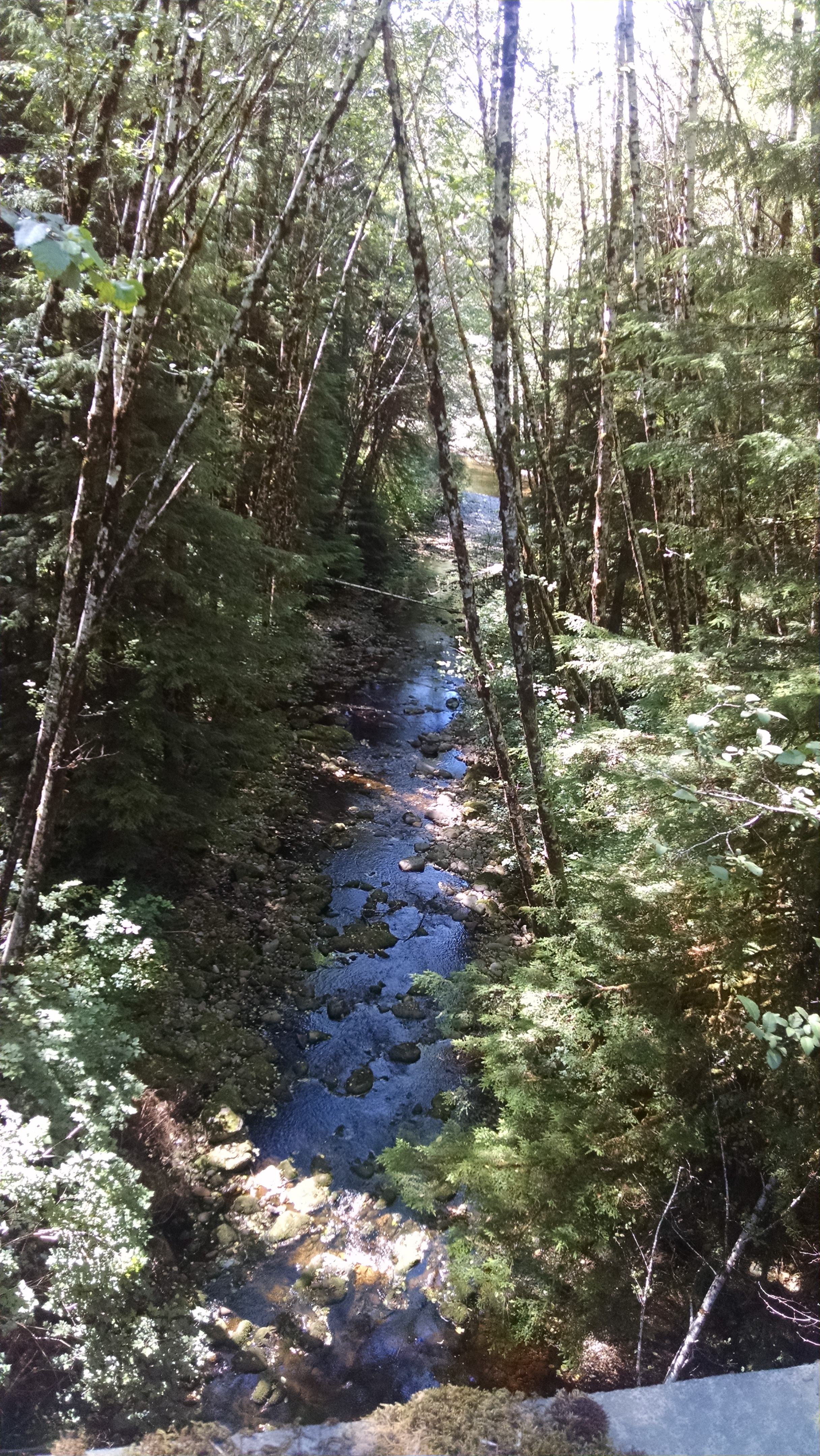Quinalt Indian Reservation Bridge