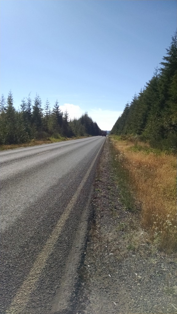 North 101 above Quinalt Indian Reservation