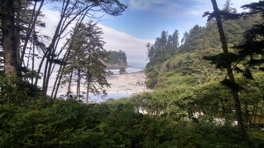 Ruby Beach Washington