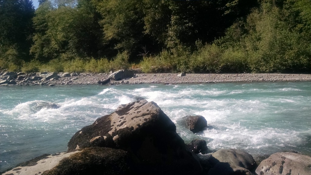 Hoh River resting rock