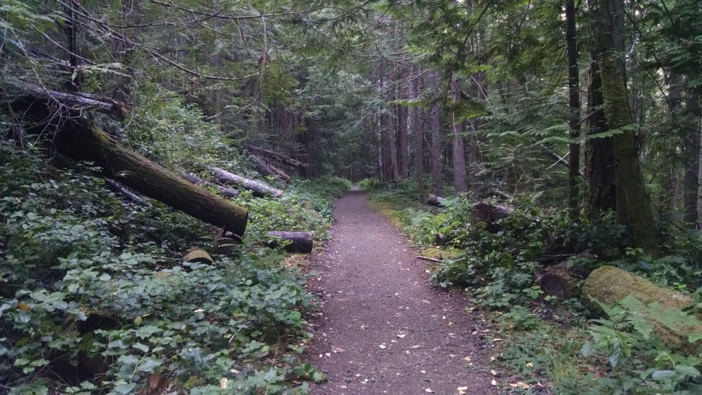 Oregon Discovery Trail - Lake Crescent