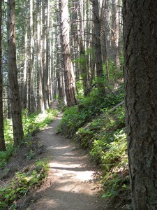 Pacific Northwest Trail
